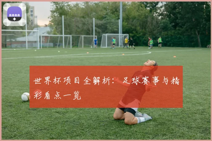 世界杯项目全解析:足球赛事与精彩看点一览