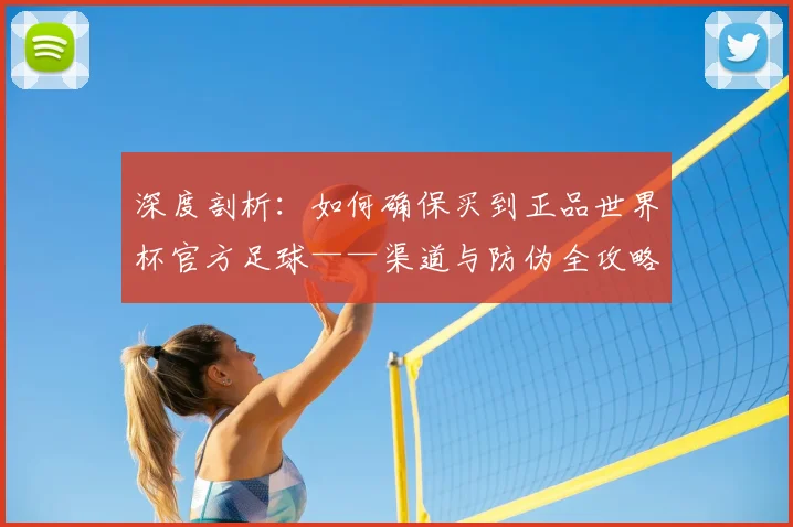 深度剖析:如何确保买到正品世界杯官方足球——渠道与防伪全攻略