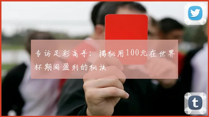 专访足彩高手:揭秘用100元在世界杯期间盈利的秘诀