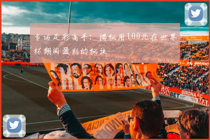 专访足彩高手:揭秘用100元在世界杯期间盈利的秘诀