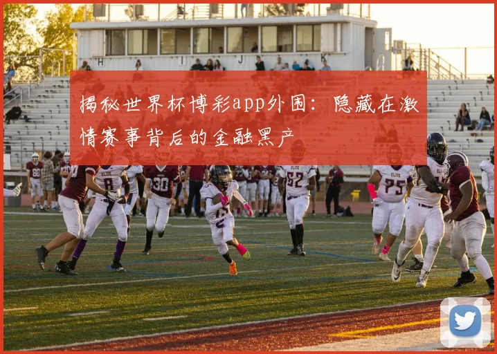 揭秘世界杯博彩app外围：隐藏在激情赛事背后的金融黑产