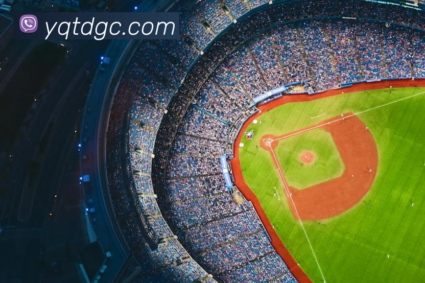 星空体育中国官方网站平台生态图